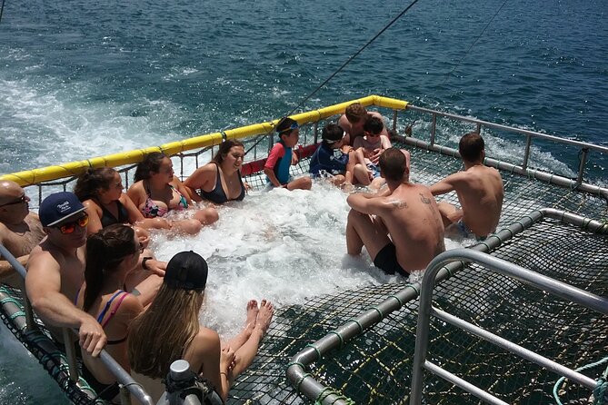 Jervis Bay Boom Netting and Dolphins Tour - Common Questions