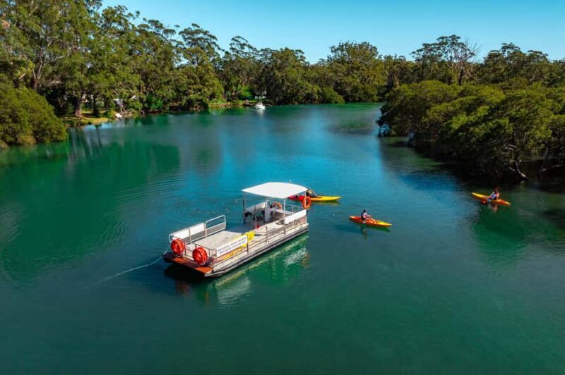 Jervis Bay: Currambene Creek Kayak Tour with Guide - An In-Depth Look at the Currambene Creek Kayak Tour