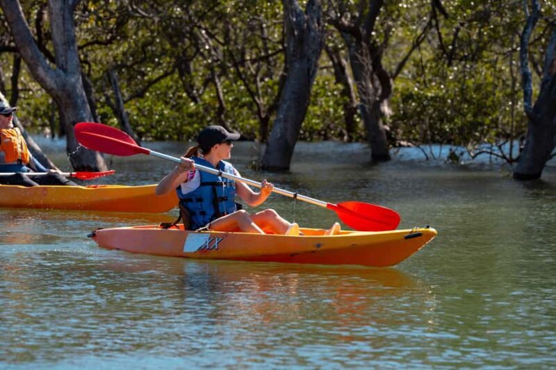Jervis Bay: Currambene Creek Kayak Tour with Guide - Frequently Asked Questions