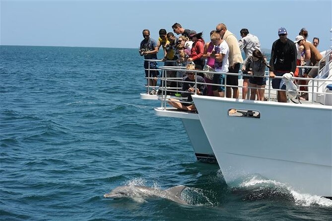 Jervis Bay Dolphin Cruise - Weather and Disappointments