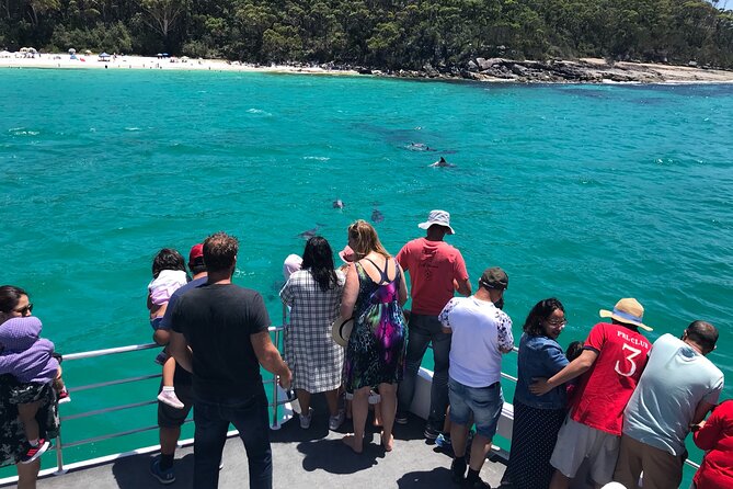 Jervis Bay Dolphin Cruise - Dolphin Experience