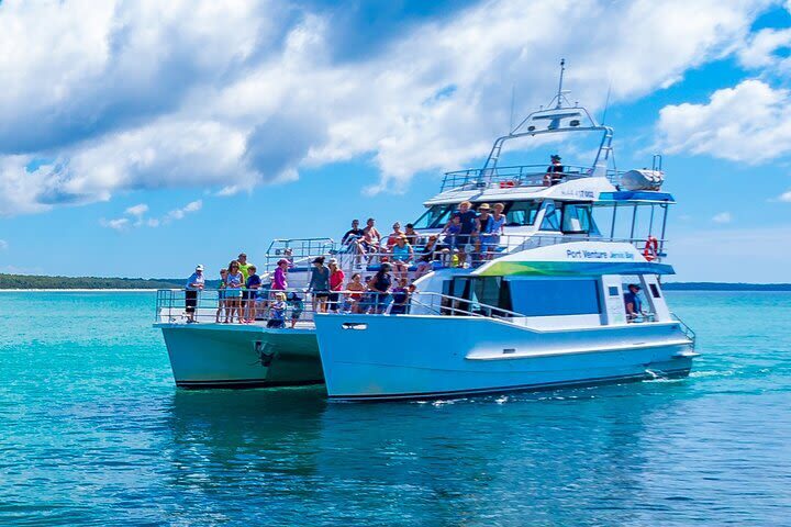 Jervis Bay Dolphin Watch Cruise Tour - The cruise: looking for dolphins around the bay