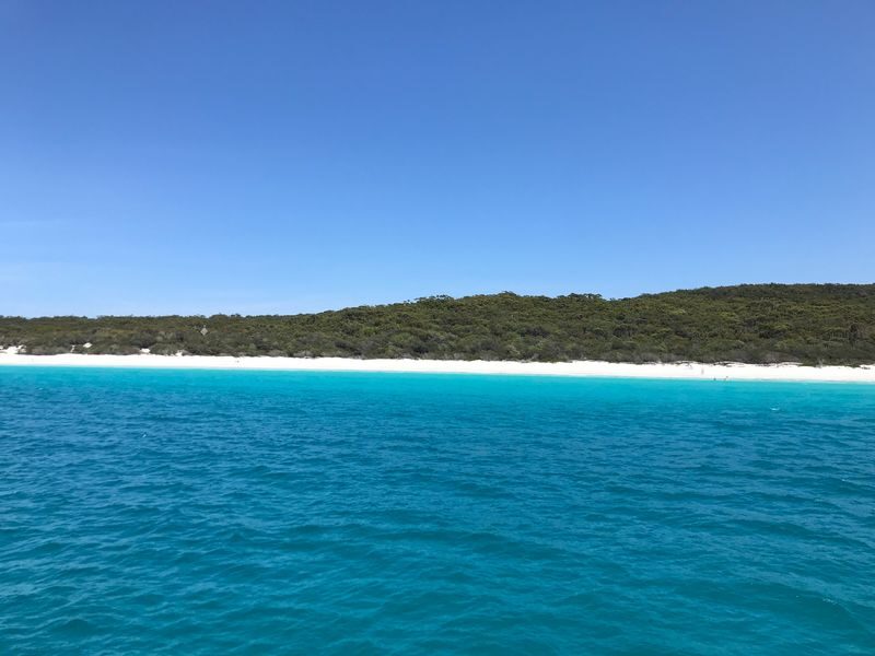 Jervis Bay Dolphin Watch Cruise Tour - What the price includes, and what it does not