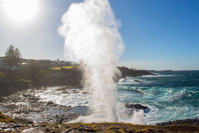 Jervis Bay Full Day Tour Dolphin Cruise and Kiama Blowhole - Who Will Love This Tour?