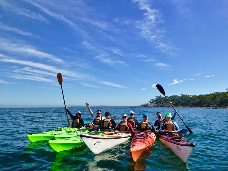 Jervis Bay Half Day Sea Kayak Tour - Key points before you book