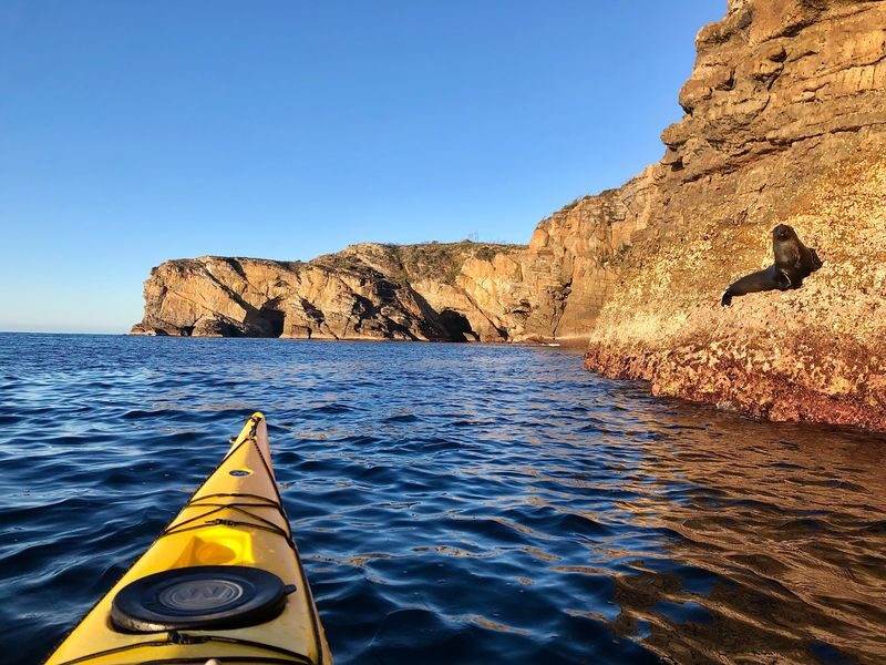 Jervis Bay Half Day Sea Kayak Tour - The second paddle and wildlife spotting