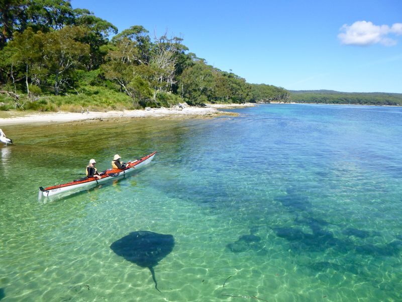 Jervis Bay Half Day Sea Kayak Tour - What the guide and the one available rating tell you