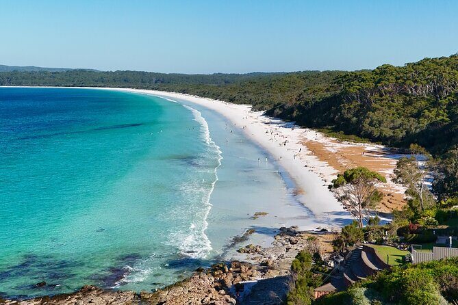 Jervis Bay Highlights Tour  Small Group Experience Scenic Coast - Good To Know
