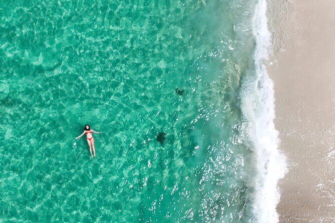 Jervis Bay Highlights Tour  Small Group Experience Scenic Coast - The Sum Up