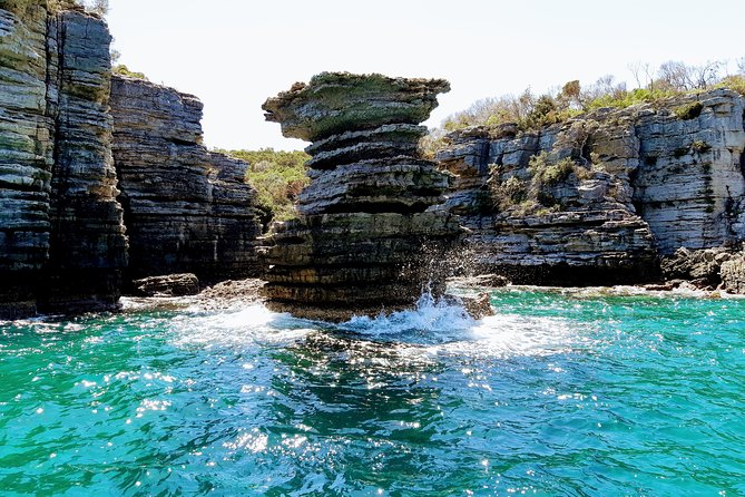 Jervis Bay Passage Tour - Overview of Jervis Bay National Park