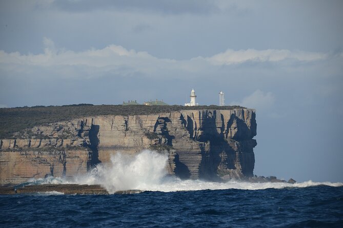 Jervis Bay Passage Tour - Stunning Coastline and Wildlife Spotting Opportunities