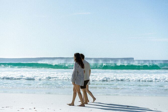 Jervis Bay Private Tour - Hyams Beach: A Sand Lover’s Paradise