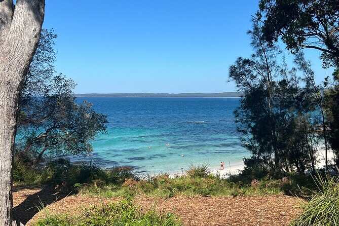Jervis Bay Private Tour & Pick up & Drop off - Good To Know