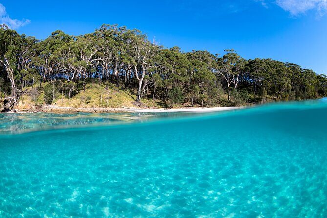 Jervis Bay Private Tour & Pick up & Drop off - Who Would Love This Experience?