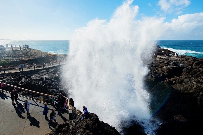 Jervis Bay Private Tour & Pick up & Drop off - FAQ