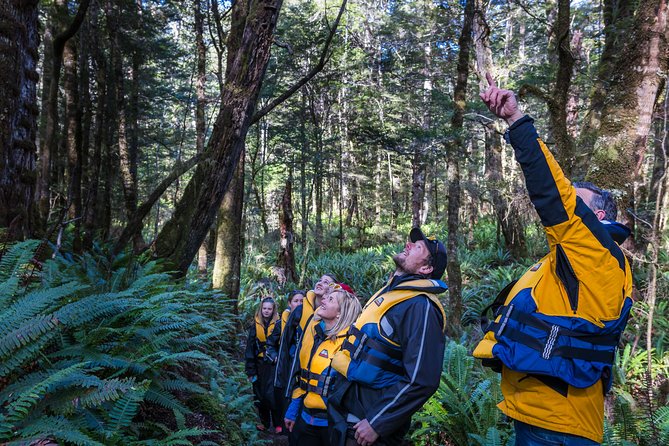 Jet Boat Journey Through Fiordland National Park - Pure Wilderness - Background