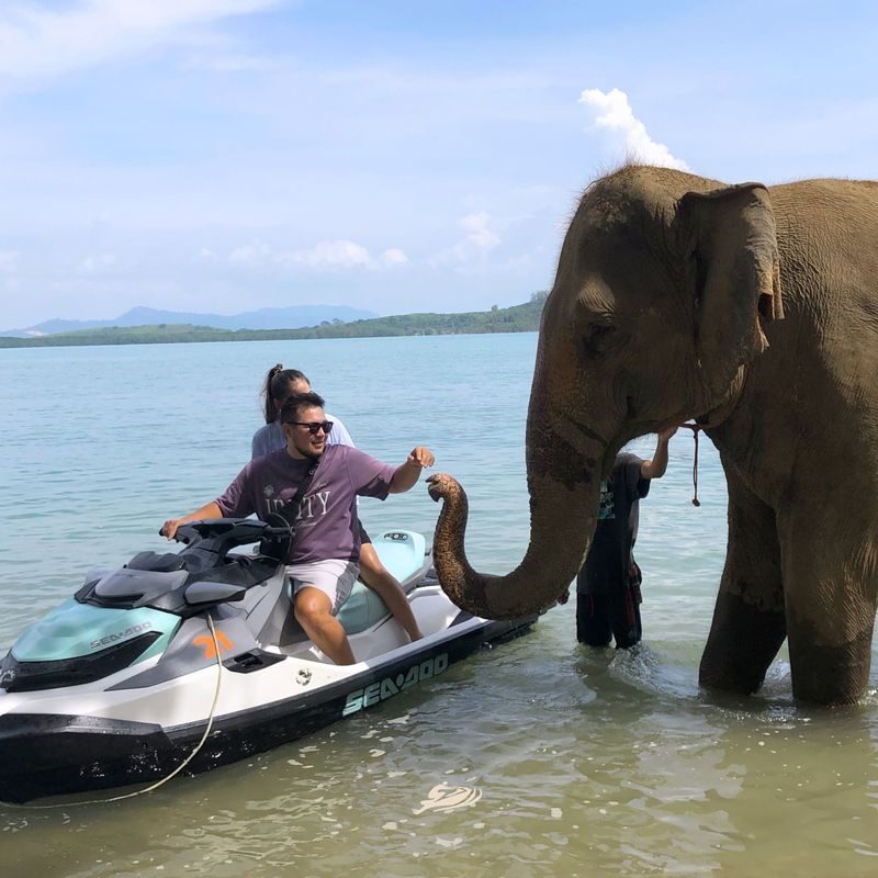Jet Ski Experience with Elephant Time in Phuket - Island stops, swimming and the mangrove route