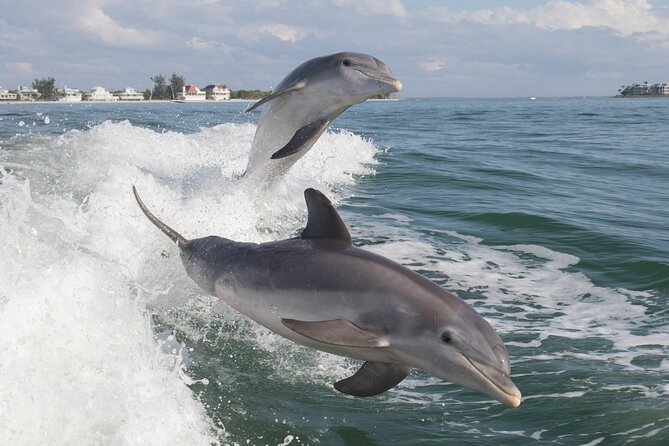 Jet Ski Rental From Fort Myers Beach to Sanibel - Whats Included