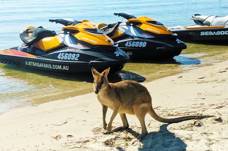 Jet Ski Safari and Island Tour on the Gold Coast - Riding with a guide, and keeping a comfortable pace