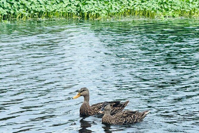 Jet Ski Tour at Lake Osborne Guided Adventure, West Palm Beach - What We Loved