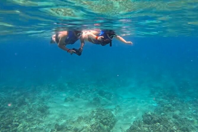 Jet Snorkel Shipwreck With Videos-San Juan - Cancellation Policy