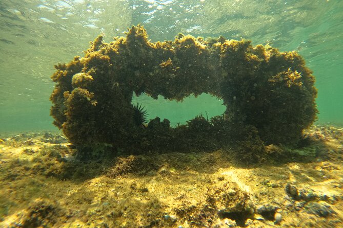 Jet Snorkel Shipwreck With Videos-San Juan - Common Questions