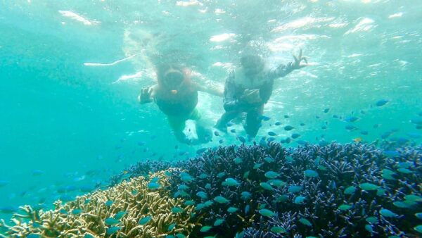 Jetski Tour and Snokeling to Maboroshi Island - What to Bring