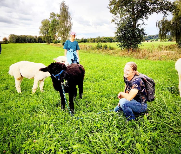 Jettingen-Scheppach: Alpaca hike through the Mindeltal - The Animal Encounters and Hike