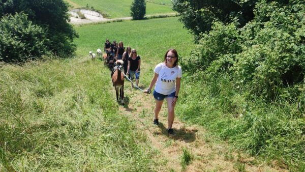 Jettingen-Scheppach: Alpaca Hike Through the Mindeltal - Frequently Asked Questions