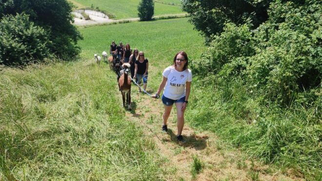 Jettingen-Scheppach: Alpaca Hike With Coffee and Cake - Hiking Experience