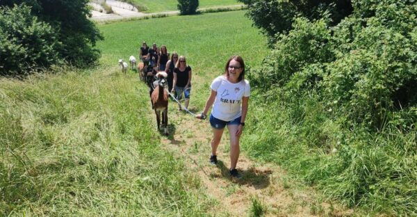 Jettingen-Scheppach: Alpaca Hike With Coffee and Cake - What to Bring