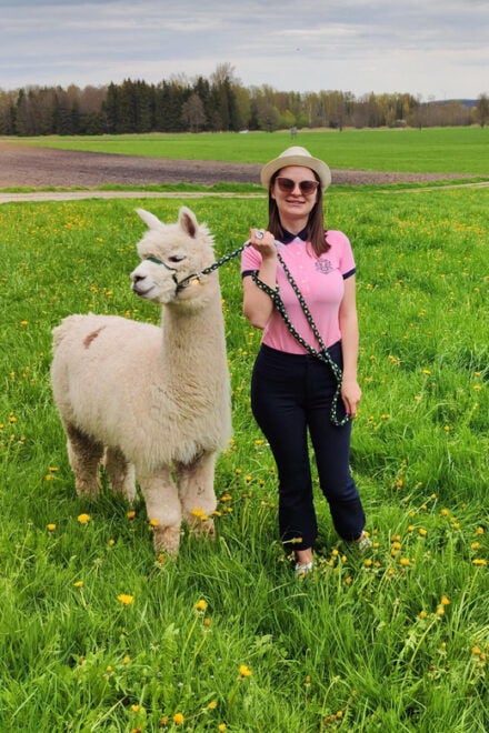Jettingen-Scheppach: Alpaca Hike With Coffee and Cake - Frequently Asked Questions