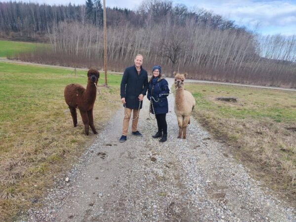 Jettingen-Scheppach: Exclusive Alpaca Couple Hike - Frequently Asked Questions