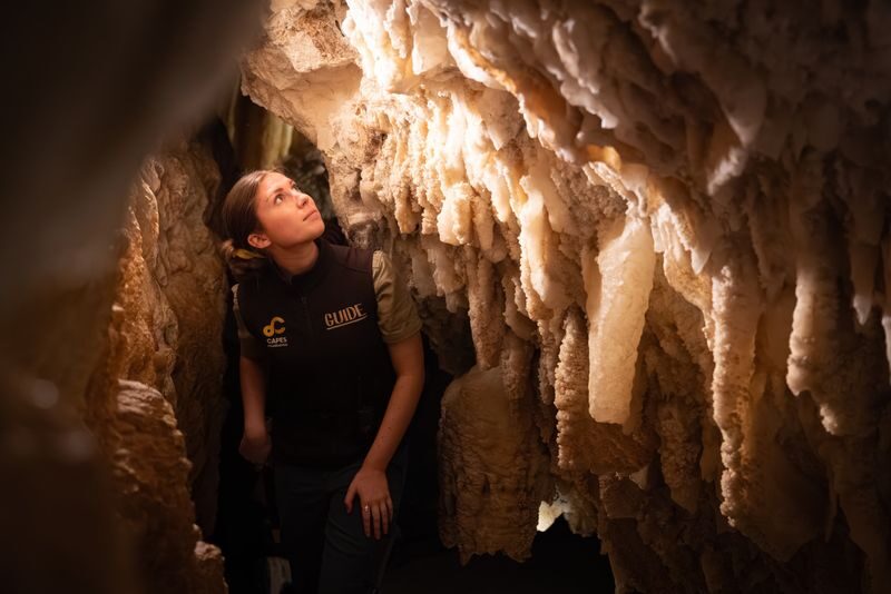 Jewel Cave Tour in Margaret River - Thylacine fossils beneath the forest