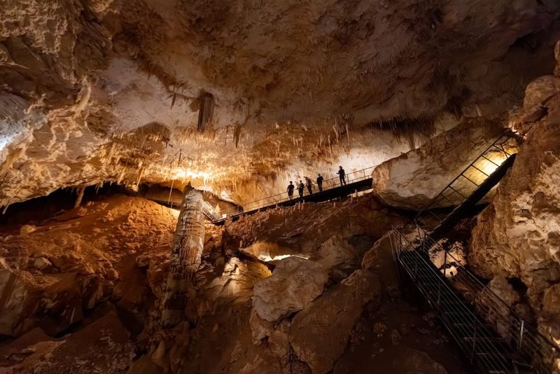 Jewel Cave Tour in Margaret River - A forest cafe after the cave