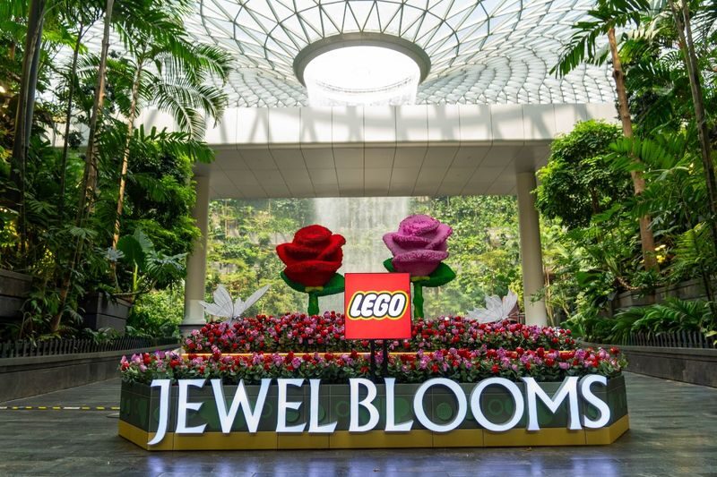 Jewel Changi Airport Attraction Ticket in Singapore - Choose a maze, bridge or net with care