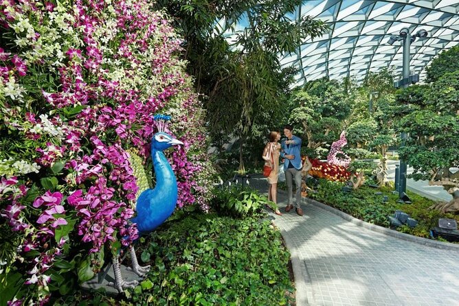 Jewel Changi Airport: Hedge Maze and Canopy Park Ticket - Features of the Hedge Maze