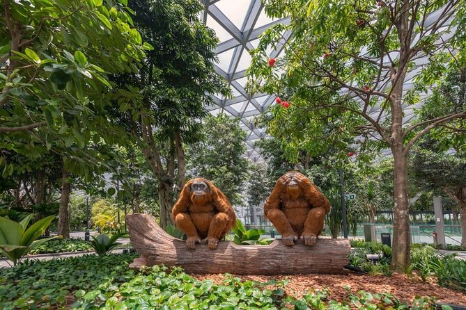 Jewel Changi Airport: Walking Net Complimentary Canopy Park - Features of the Walking Net