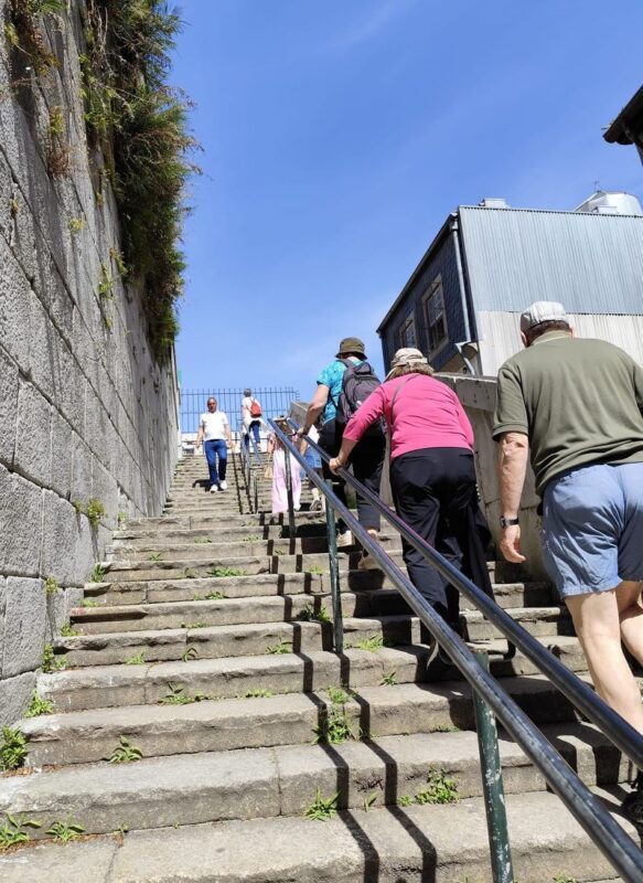 Jewish Heritage Walking Tour in Porto - Know what the pace and access mean for you