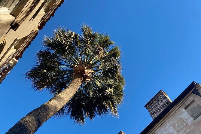 Jewish History Private Walking Tour of Charleston - A Closer Look at Charleston’s Jewish Heritage