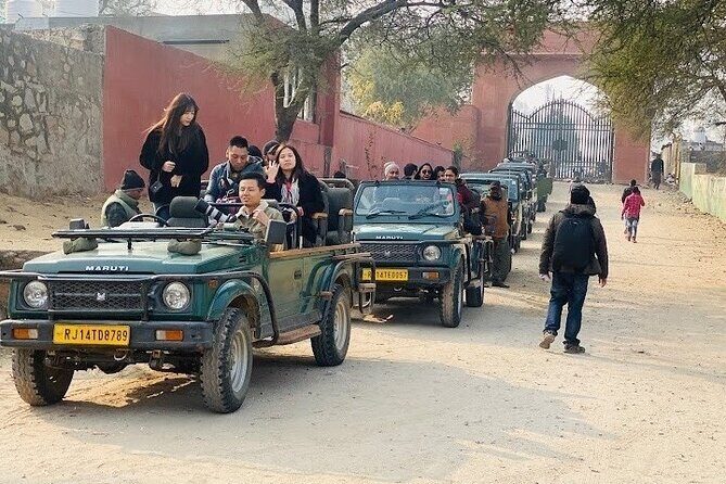 Jhalana Wildlife Private Jeep Safari Tour in Jaipur - Good To Know