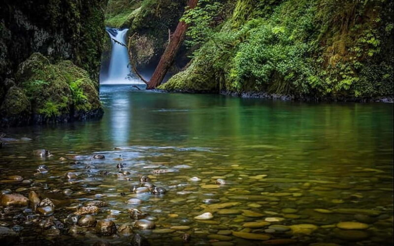 Jim Corbett: 3-Day Safari Tour by Flight from Bangalore - Good To Know