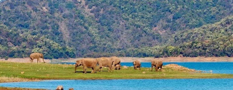Jim Corbett: 3-Day Safari Tour by Flight from Bangalore - Good To Know