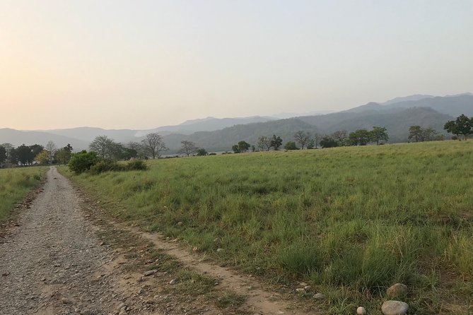 Jim Corbett National Park Overnight Safari (Feb ) - Wildlife Spotting in Indian Jungle