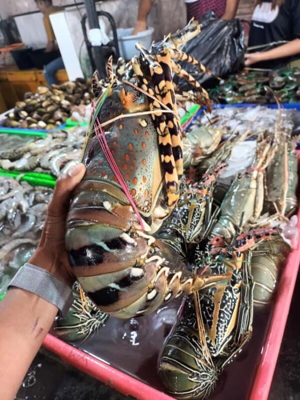 Jimbaran: Exotic Culinary Fish and Seafood Tour - The Sum Up