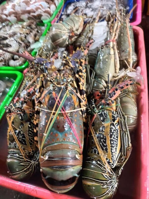 Jimbaran: Exotic Culinary Fish and Seafood Tour - FAQ