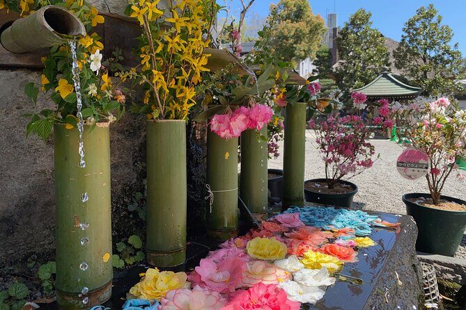 Jindaiji Traditional Temple Purification Tour with Local Soba - An In-Depth Look at the Itinerary