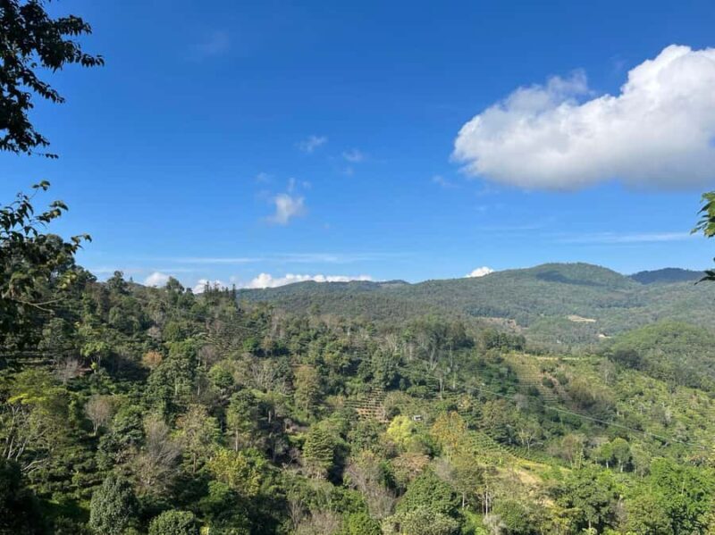 Jingmai Mountain (UNESCO) | Old Tea Forests and Dai Villages - FAQs