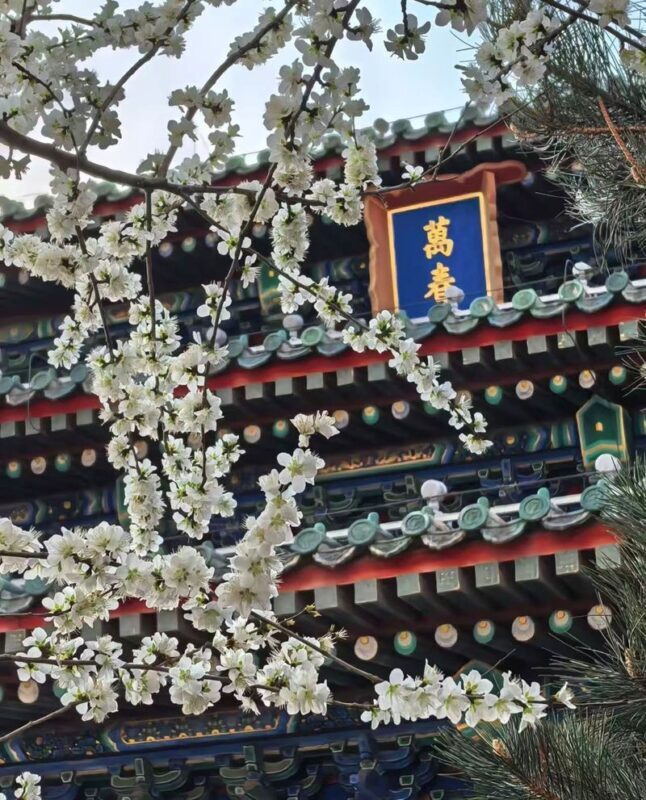 Jingshan Park admission ticket + Electronic Audio Guide (multi-language options available) - What the electronic audio explanation adds