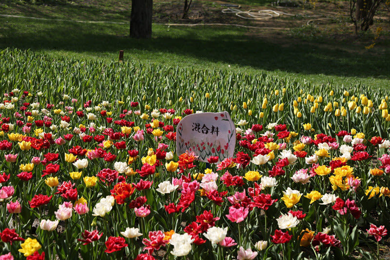 Jingshan Park Tickets - Choosing a session and getting through the gate